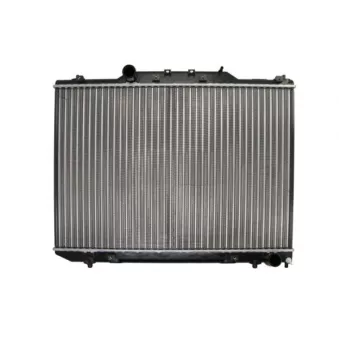 Radiateur, refroidissement du moteur THERMOTEC D72061TT