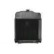 Radiateur, refroidissement du moteur THERMOTEC D7AG025TT - Visuel 2