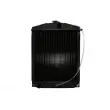 Radiateur, refroidissement du moteur THERMOTEC D7AG041TT - Visuel 1