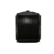 Radiateur, refroidissement du moteur THERMOTEC D7AG041TT - Visuel 2