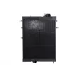Radiateur, refroidissement du moteur THERMOTEC D7AG375TT - Visuel 1