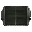 Radiateur, refroidissement du moteur THERMOTEC D7AG746TT - Visuel 1