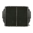 Radiateur, refroidissement du moteur THERMOTEC D7AG746TT - Visuel 2