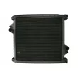 Radiateur, refroidissement du moteur THERMOTEC D7AG749TT - Visuel 1
