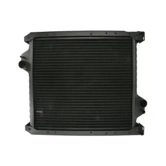 Radiateur, refroidissement du moteur THERMOTEC D7AG749TT