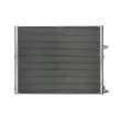 Radiateur, refroidissement du moteur THERMOTEC D7B058TT - Visuel 1