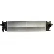 Intercooler, échangeur THERMOTEC DAV013TT - Visuel 1