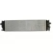 Intercooler, échangeur THERMOTEC DAV013TT - Visuel 2