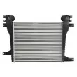 Intercooler, échangeur THERMOTEC DAX043TT - Visuel 2