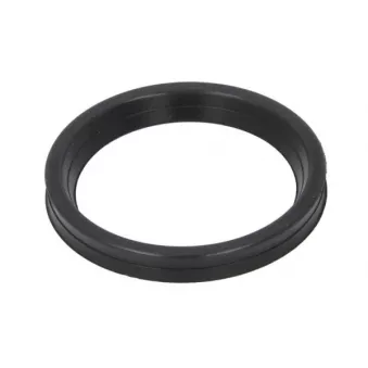 Bague d'étanchéité, gaine de suralimentation THERMOTEC DCR271TT