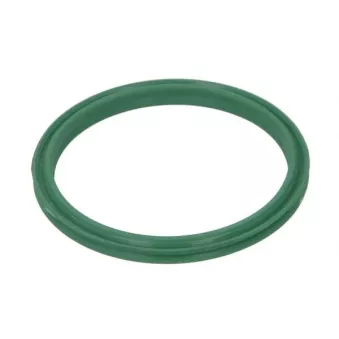Bague d'étanchéité, gaine de suralimentation THERMOTEC DCR272TT