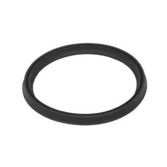 Bague d'étanchéité, gaine de suralimentation THERMOTEC DCR273TT