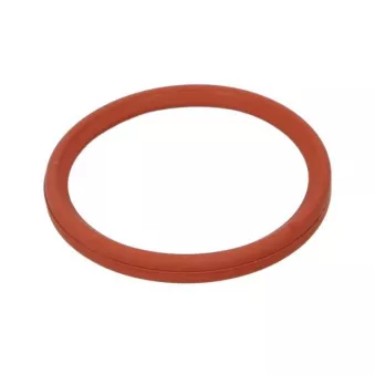 Bague d'étanchéité, gaine de suralimentation THERMOTEC DCR275TT