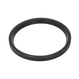 Bague d'étanchéité, gaine de suralimentation THERMOTEC DCR278TT