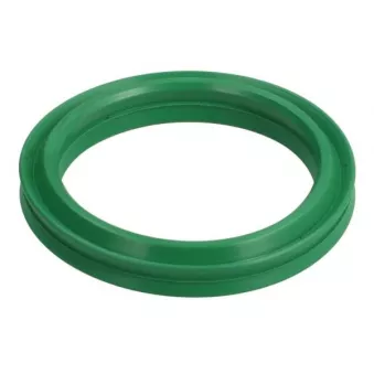 Bague d'étanchéité, gaine de suralimentation THERMOTEC DCR279TT
