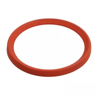Bague d'étanchéité, gaine de suralimentation THERMOTEC DCR281TT