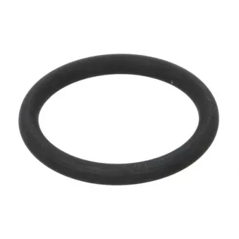 Bague d'étanchéité, gaine de suralimentation THERMOTEC DCR283TT