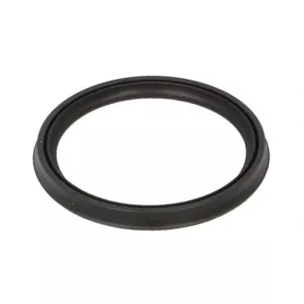 Bague d'étanchéité, gaine de suralimentation THERMOTEC DCX152TT