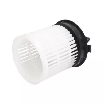Pulseur d'air habitacle THERMOTEC DD1007TT
