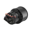 Pulseur d'air habitacle THERMOTEC DDP017TT - Visuel 2