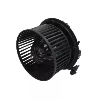Pulseur d'air habitacle THERMOTEC DDR029TT