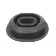 Suspension, radiateur THERMOTEC DLW001TT - Visuel 1