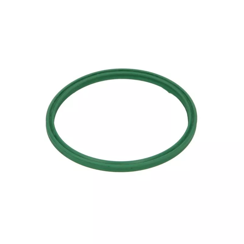 Bague d'étanchéité, gaine de suralimentation THERMOTEC DXW013TT