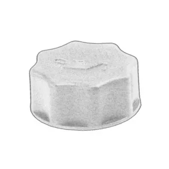 Bouchon, goulotte de remplissage d'huile THERMOTEC IVE-CA-003