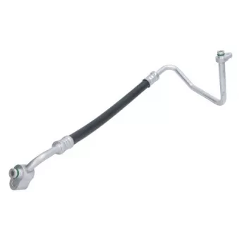 Durite de radiateur THERMOTEC KTT160348