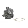 Pompe à eau, refroidissement du moteur THERMOTEC WP-DZ113 - Visuel 2