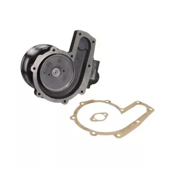 Pompe à eau, refroidissement du moteur THERMOTEC WP-MF113