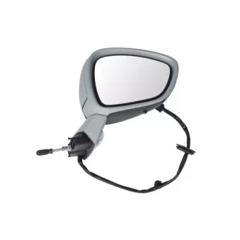 Rétroviseur extérieur BLIC 5402-21-034366P