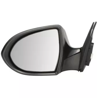 Rétroviseur extérieur BLIC 5402-53-0671310P