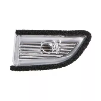 Feu clignotant BLIC 5403-24-1533105P