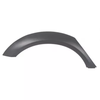 Baguette et bande protectrice, aile avant droit BLIC 5703-04-0029572P