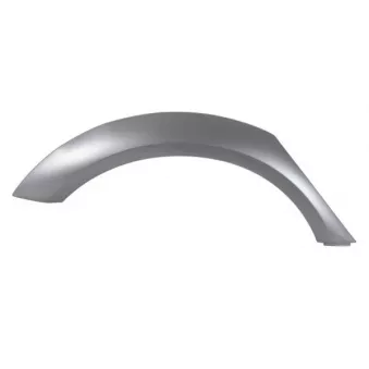 Baguette et bande protectrice, aile avant droit BLIC 5703-04-0029574P