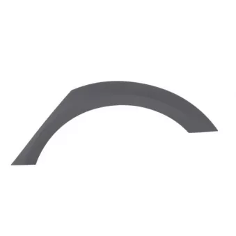 Baguette et bande protectrice, aile avant gauche BLIC 5703-04-0030571P