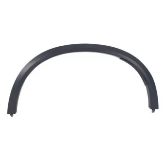 Baguette et bande protectrice, aile avant gauche BLIC 5703-04-0098595P