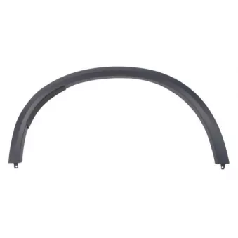 Baguette et bande protectrice, aile avant droit BLIC 5703-04-0098596P