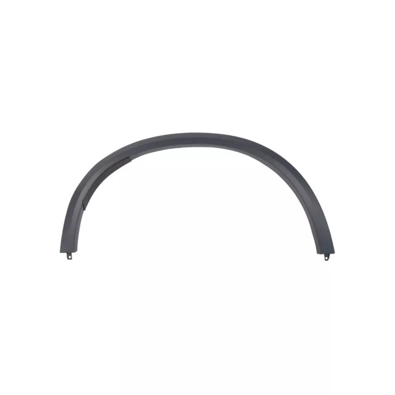 Baguette et bande protectrice, aile avant droit BLIC 5703-04-0098596P