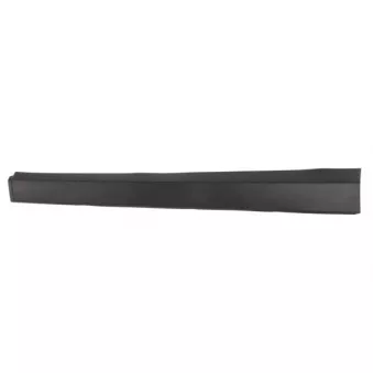 Baguette et bande protectrice, porte avant gauche BLIC 5703-04-3493571P