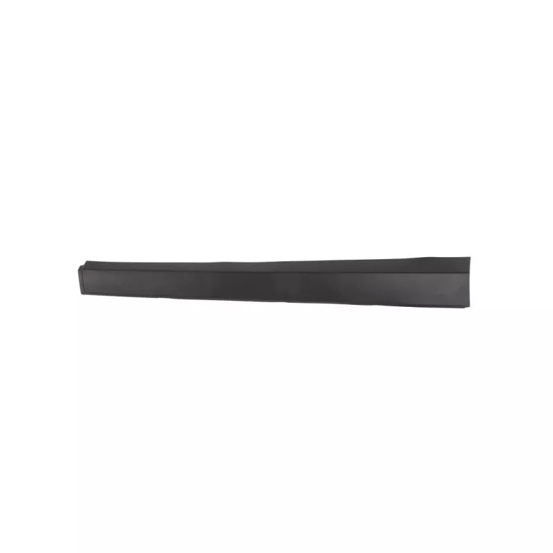 Baguette et bande protectrice, porte avant gauche BLIC 5703-04-3493571P