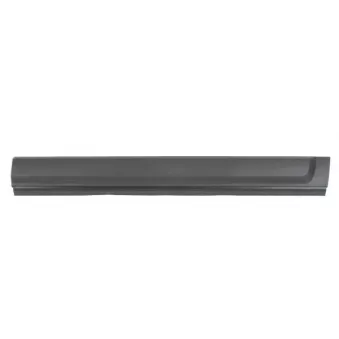 Baguette et bande protectrice, porte avant droit BLIC 5703-04-6490572P