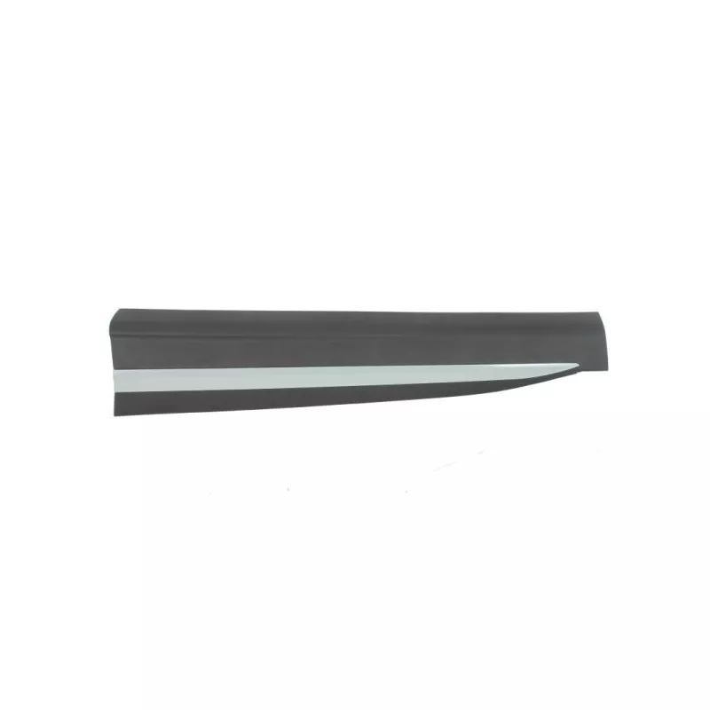 Baguette et bande protectrice, porte avant gauche BLIC 5703-04-7802571P