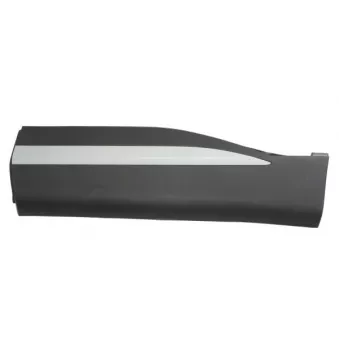 Baguette et bande protectrice, porte avant gauche BLIC 5703-04-7802577P