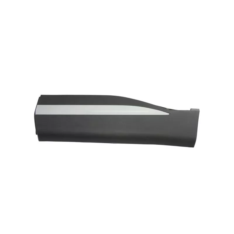 Baguette et bande protectrice, porte avant gauche BLIC 5703-04-7802577P