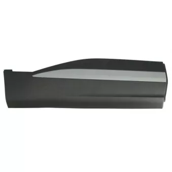 Baguette et bande protectrice, porte avant droit BLIC 5703-04-7802578P