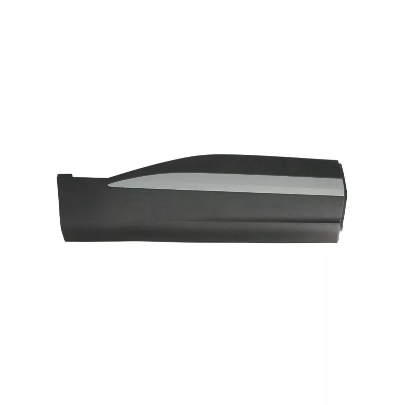 Baguette et bande protectrice, porte avant droit BLIC 5703-04-7802578P