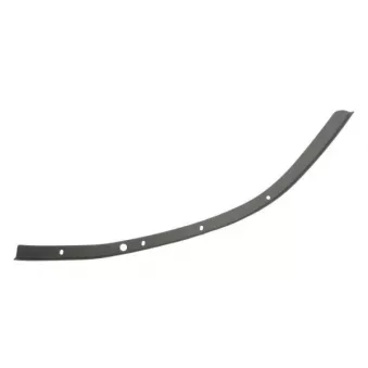 Baguette et bande protectrice, pare-chocs avant gauche BLIC 5703-05-1196921P
