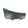 Baguette et bande protectrice, pare-chocs avant gauche BLIC 5703-05-3522925P - Visuel 1